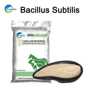 Fuente de fábrica Materia Prima Bacillus Subtilis para Animal Additive